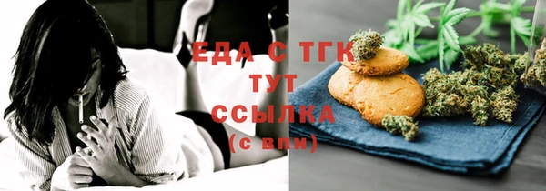 гидра Богородск