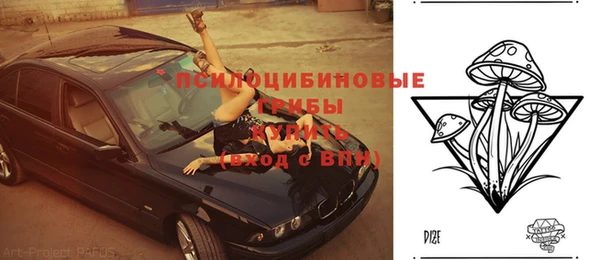 ALPHA-PVP Белокуриха