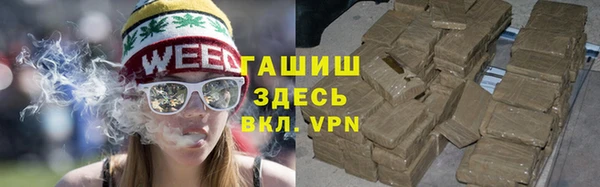 гидра Богородск
