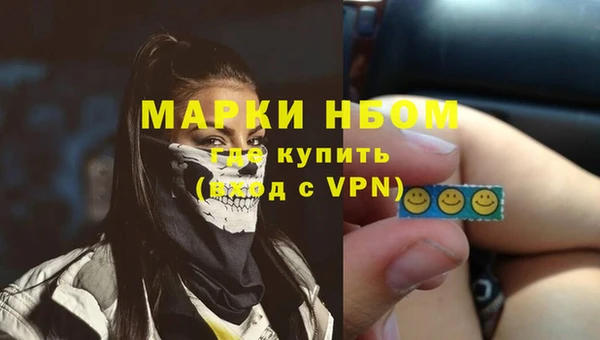 гидра Богородск