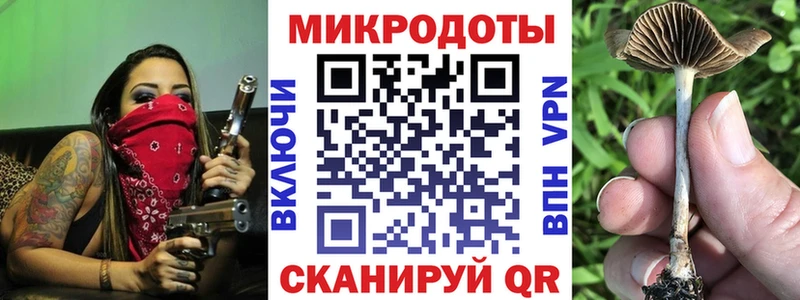 Галлюциногенные грибы мицелий  Бутурлиновка 